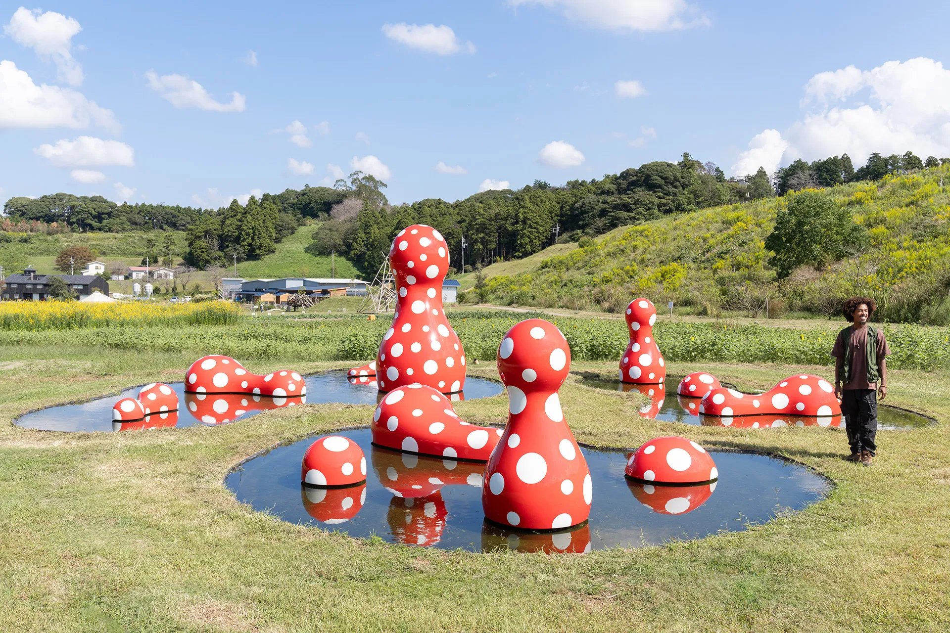 🌿 쿠루쿠 필즈 (쿠루쿠 휘루즈) 이미지 5